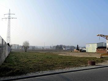 Hier wollen die Zeugen Jehovas bauen. Foto: Richard Sänger