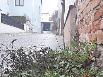 An der Würzburger Straße sind Glasfaserkabel verlegt. Dieser Anschluss in einer Stichstraße wartet auf den Weiterbau.  Fotos: Bernhard Panzer