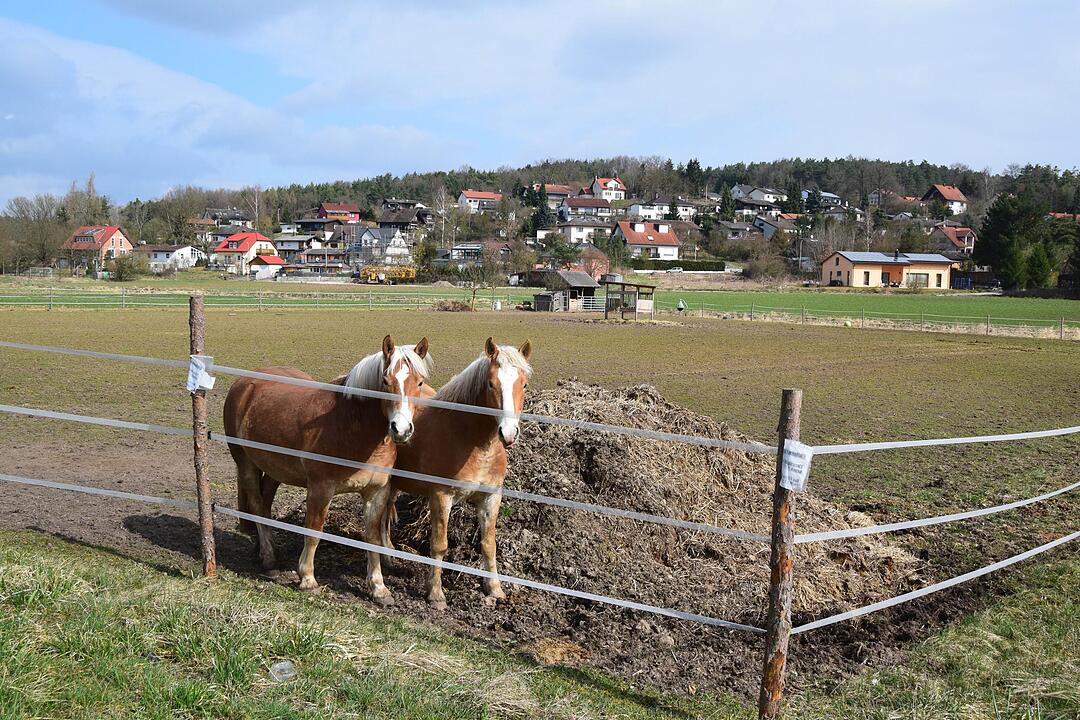 Ailsbach (35)