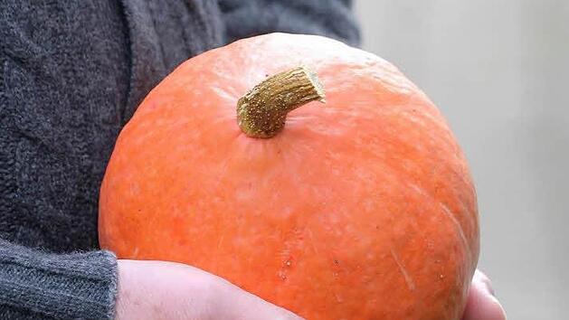 K&uuml;rbis aus dem eigenen Garten oder vom heimischen Erzeuger: Preiswerte Grundlage f&uuml;r leckeres Essen. Foto: Jupp Schr&ouml;der