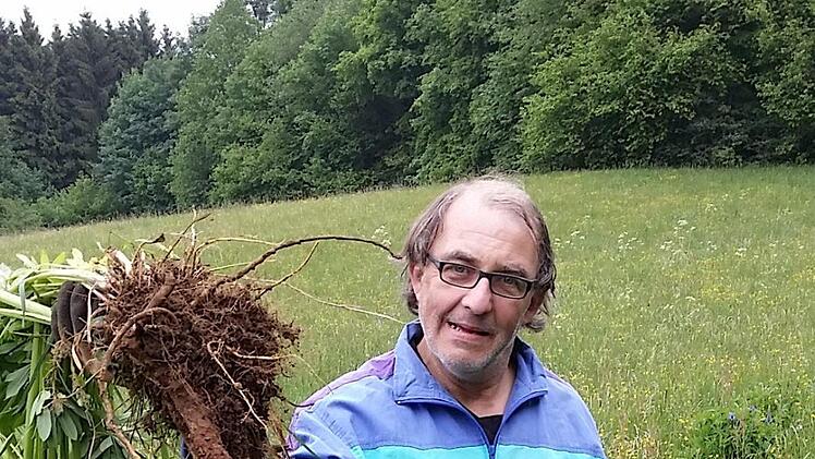 Karl-Heinz Knüttel mit einer mehrjährigen LupineHans Kober
