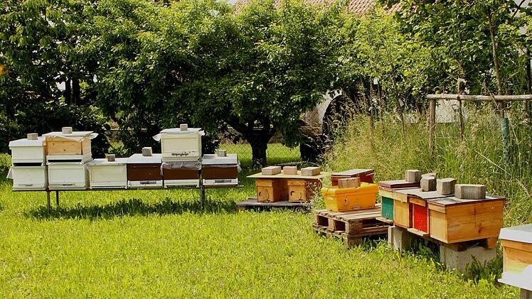 Zahlreiche Imker aus dem Landkreis hatten ihre Bienenvölker nach Kirchlauter gebracht. Foto: Günther Geiling