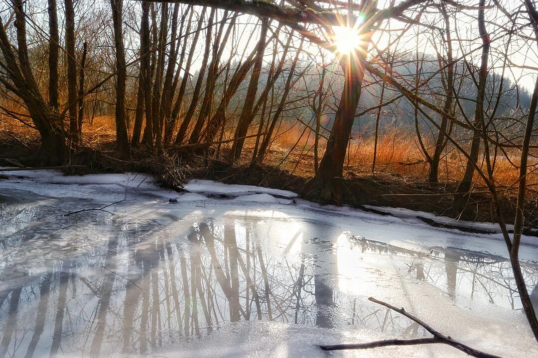 Die schönsten Frühlingsfotos aus Forchheim und Umgebung