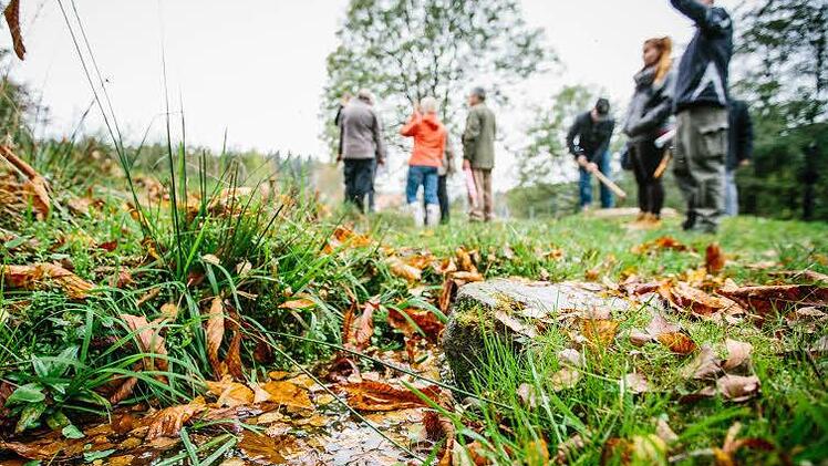 Ein Wüstbacher hat eine Kleinkläranlage, die angeblich nicht dem Stand der Technik entspricht. Wasser könne nicht absickern und flute eine Weide, werfen ihm die Nachbarn vor.