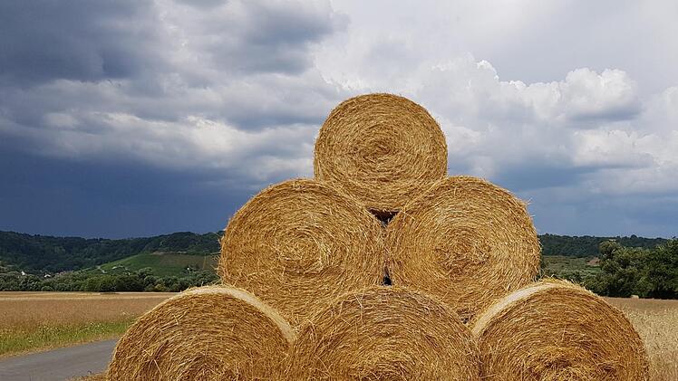 Ach, wenn man nur Stroh zu Gold spinnen könnte. Leider nicht wie im Märchen fühlen sich die Landwirte im Landkreis Haßberge. Sie fahren heuer beim Getreide gerade mal ein Drittel dessen ein, was sie in normalen Jahren ernten.Brigitte Krause