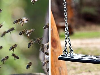 Bamberg: Bienen-Alarm auf Kinderspielplatz - Feuerwehr holt Imker zu HIlfe