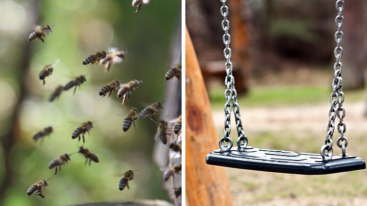 Bamberg: Bienen-Alarm auf Kinderspielplatz - Feuerwehr holt Imker zu HIlfe