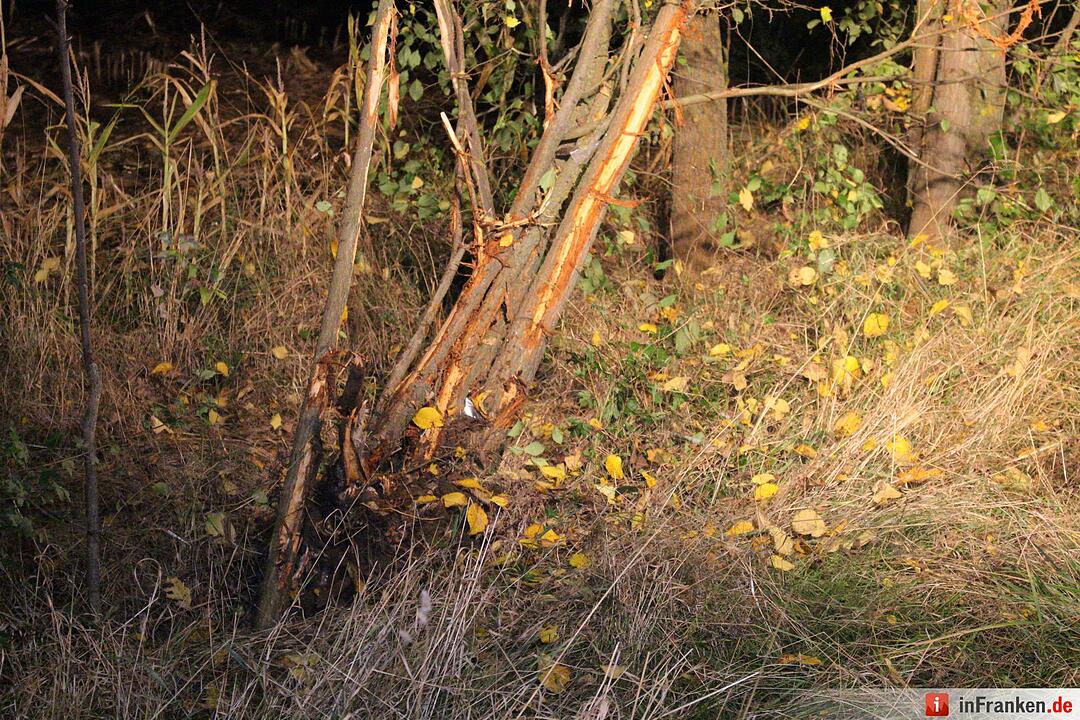 Pkw kracht in Baumgruppe und überschlägt sich bei Ödenreuth