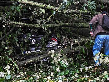 Baum auf Auto im Kreis Kronach gest&uuml;rzt