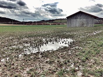 Auf diesem Feld zwischen Ebensfeld und Unterleiterbach ist gut zu erkennen, wie die vielen Regenfälle im Februar den Boden getränkt haben. Foto: Tobias Kindermann