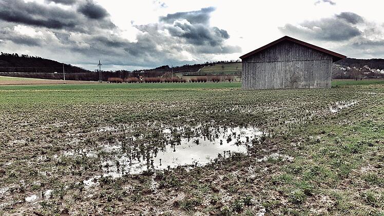 Auf diesem Feld zwischen Ebensfeld und Unterleiterbach ist gut zu erkennen, wie die vielen Regenfälle im Februar den Boden getränkt haben. Foto: Tobias Kindermann