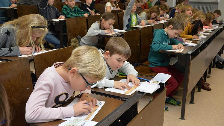 Am Samstag ging es an der Bamberger Kinder-Uni um die Frage, ob Bäume Tagebuch schreiben. Foto: Ronald Rinklef