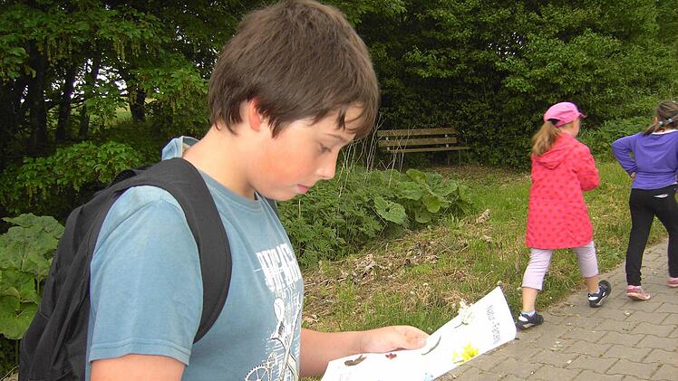 Dominik Schnappauf entdeckt die Farbenvielfalt der Natur. Foto: Heike Schülein