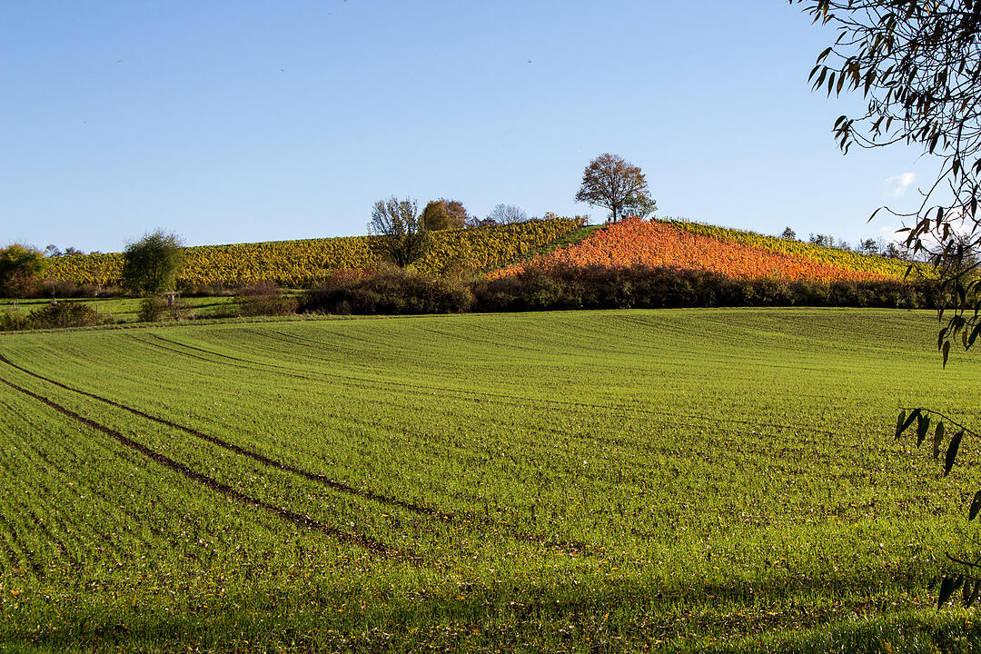 Fotos Konrad Thomann