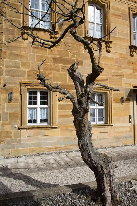 Vierzehnheiligen; Foto: Barbara Herbst
