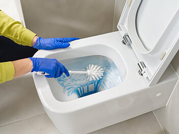 Klo putzen, Urinstein, Toilette, Toilette putzen, reinigen, Bad putzen