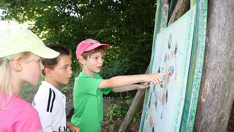 Eindrücke vom Spielplatz auf dem Farnsberg. Foto: Ralf Ruppert
