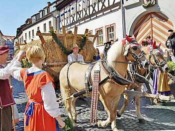 Beim Festumzug in Münnerstadt.  Foto: Sigismund von Dobschütz