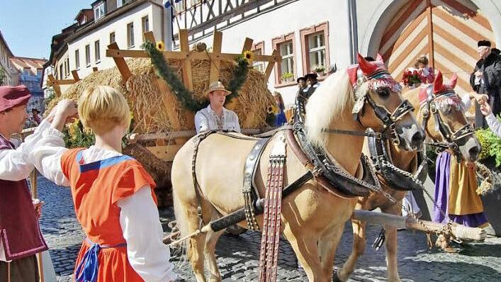 Beim Festumzug in Münnerstadt.  Foto: Sigismund von Dobschütz