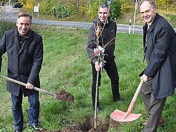 Landrat Alexander Tritthart und Landrat Andreas Heller pflanzten im Saale-Holzland-Kreis einen fr&auml;nkischen Kirschbaum anl&auml;sslich des 25-j&auml;hrigen Partnerschaftsjubil&auml;ums.  Foto: pr