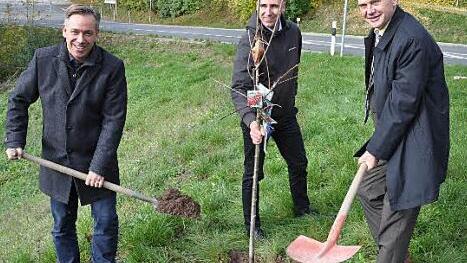 Landrat Alexander Tritthart und Landrat Andreas Heller pflanzten im Saale-Holzland-Kreis einen fr&auml;nkischen Kirschbaum anl&auml;sslich des 25-j&auml;hrigen Partnerschaftsjubil&auml;ums.  Foto: pr