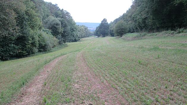 Einen vorgerückten Damm, etwa auf Höhe des ersten, rechtsseitigen Solitärbaums, verwarf der Gemeinderat.