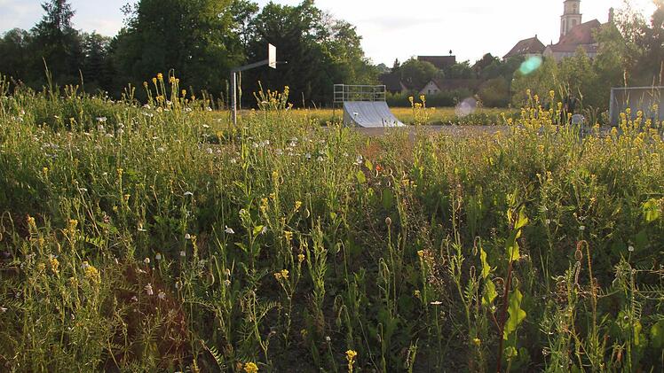 Der Skaterpark in Stadtsteinach soll renoviert werden. Die Betroffenen wurden bisher nicht gefragt.  Fotos: Sonja Adam