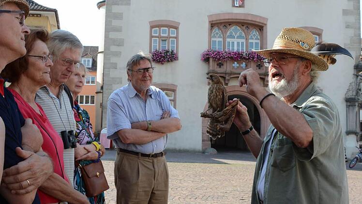 Am Modell vom Turmfalken erläutert Jochen Willecke, wo und wie der Vogel in der Stadt überlebt  Foto: Assmann