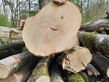 Der Holzpreis hat sich nach Angaben von Rannungens Bürgermeister Fridolin Zehner sehr gut entwickelt.