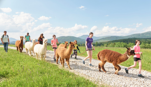 Tourismusverband Ostbayern e. V.: Plane deinen perfekten Familienurlaub im Bayerischen Wald