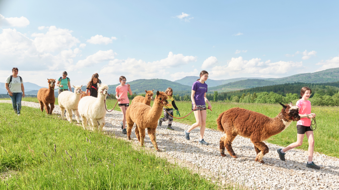Tourismusverband Ostbayern e. V.: Plane deinen perfekten Familienurlaub im Bayerischen Wald