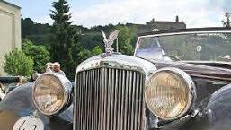 Die Kühlerfigur des Alvis TA 14 blitzt in der Sonne.