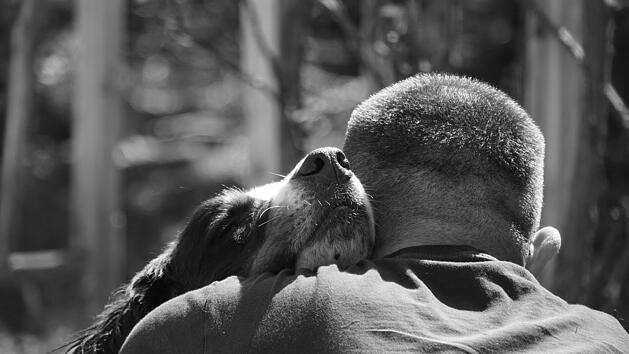 Hund b&uuml;xt aus - Kurze Zeit sp&auml;ter mit Besitzer vereint