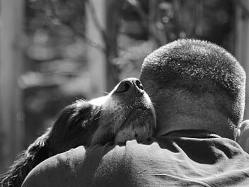 Hund büxt aus - Kurze Zeit später mit Besitzer vereint