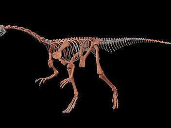 Einer der ältesten Dinosaurier in Argentinien gefunden
