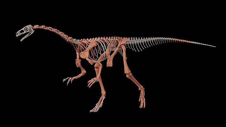 Einer der ältesten Dinosaurier in Argentinien gefunden