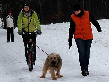 Finn weiß noch nicht so recht, wie er sein Frauchen Scadi Müller ziehen soll. Xenia Brunk gibt ihm Tipps. Fotos: Johanna Blum