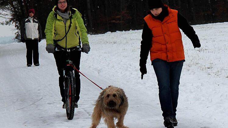 Finn weiß noch nicht so recht, wie er sein Frauchen Scadi Müller ziehen soll. Xenia Brunk gibt ihm Tipps. Fotos: Johanna Blum
