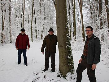 Der Sulzthaler Bürgermeister August Weingart (von links) bespricht sich mitten im Sulzthaler Wald mit Betriebsleiter Wolfram Zeller und Jakob Hahn von der Forstbetriebsgemeinschaft Rhön-Saale.