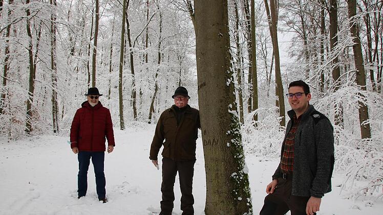 Der Sulzthaler Bürgermeister August Weingart (von links) bespricht sich mitten im Sulzthaler Wald mit Betriebsleiter Wolfram Zeller und Jakob Hahn von der Forstbetriebsgemeinschaft Rhön-Saale.