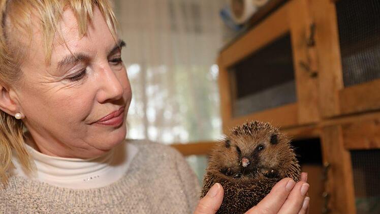 Foto: Barbara Herbst