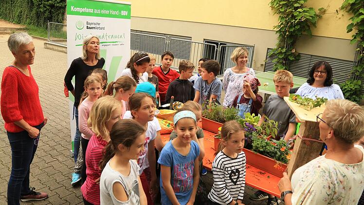 Die Schulklasse mit (v. l.) Krimhild Grünberg-Steinle, Sabine Dittrich, Christine Werner, Kerstin Friedrich und Rosi Kraus Foto: Franz Galster