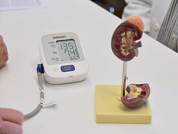 Erlangen: Uniklinik mit möglicher Behandlung für Zystennieren - Studien-Patienten gesucht Erlangen: Uniklinik mit möglicher Behandlung für Zystennieren - Studien-Patienten gesucht