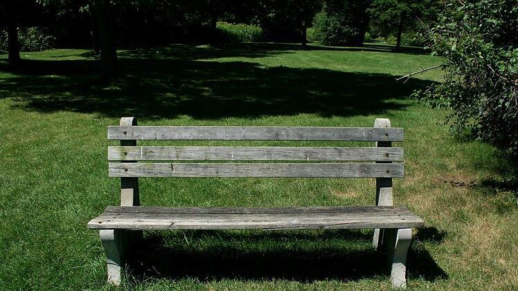 Geschlechtsverkehr in der Öffentlichkeit hatte ein Pärchen am Sonntag in Schweinfurt in einem Park. Als die Polizei eintraf, waren sie umringt von den Überresten einer Party. Symbolbild: pixabay.com / PublicDomainPictures