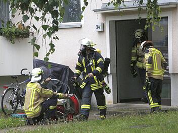 Die Atemschutzträger vor Ort Foto: Josef Hofbauer