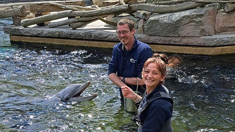 N&uuml;rnberg: Delfinweibchen in Tiergarten eingezogen - so geht es D&ouml;rte in ihrem neuen Zuhause