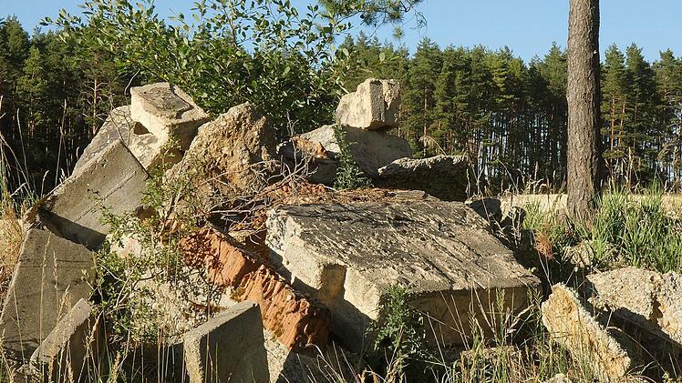 Diesen Bauschutt hat ein Unbekannter bei Schirradorf entsorgt. Foto:&nbsp;Emil&nbsp;Jenne