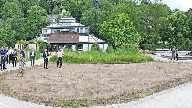 Ortstermin in der Sitzungspause: Die gerodete Fläche zwischen Palmenhaus und Sintflutbrunnen ist für den Stadtstrand vorgesehen. Fotos: Ulrike Nauer (1) / privat (4)