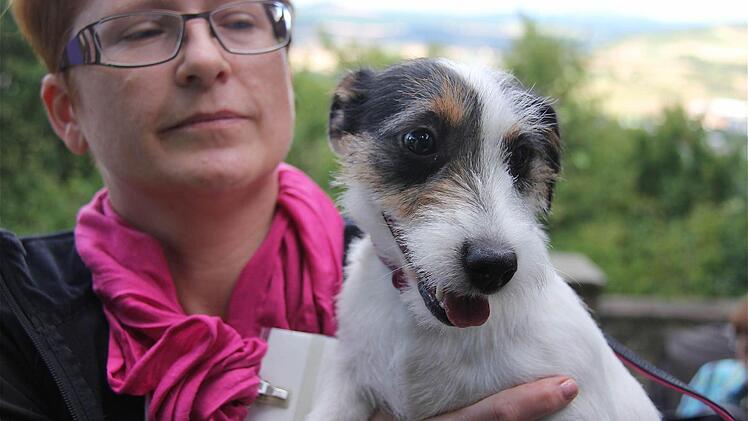 Jack-Russell-Hündin Susanna mit Frauchen Sabine Seufert.
