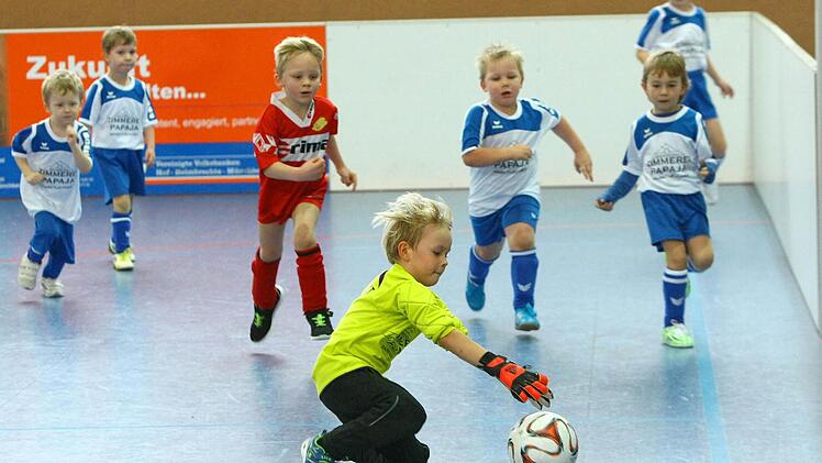 Die G-Junioren waren mit Feuereifer bei der Sache. Hier pariert der Marktleugaster Torwart Dominik Weber im Spiel gegen den FC Neuenmarkt den Ball. Foto: Monika Limmer